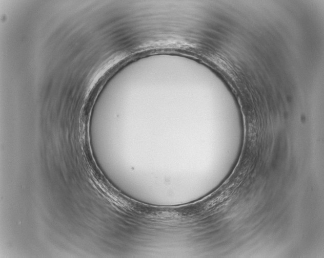 X0000057071119200510071425