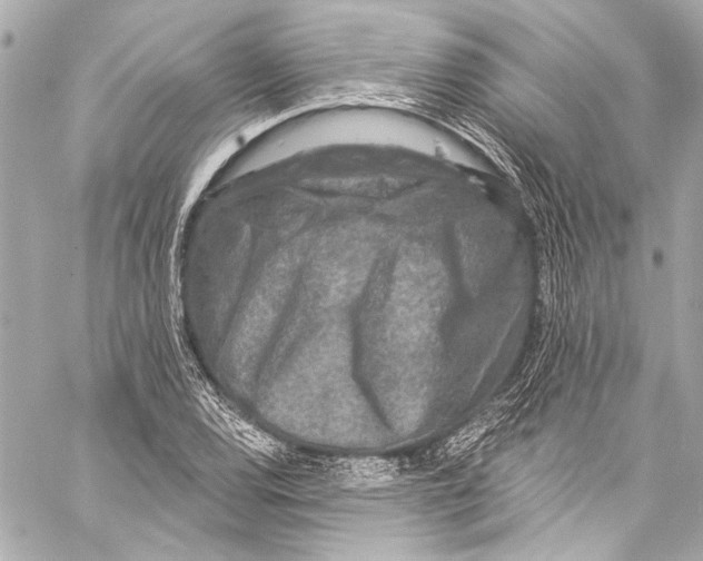 X0000057071120200510071425