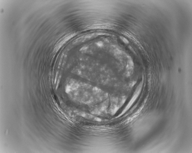 X0000057071121200510071425