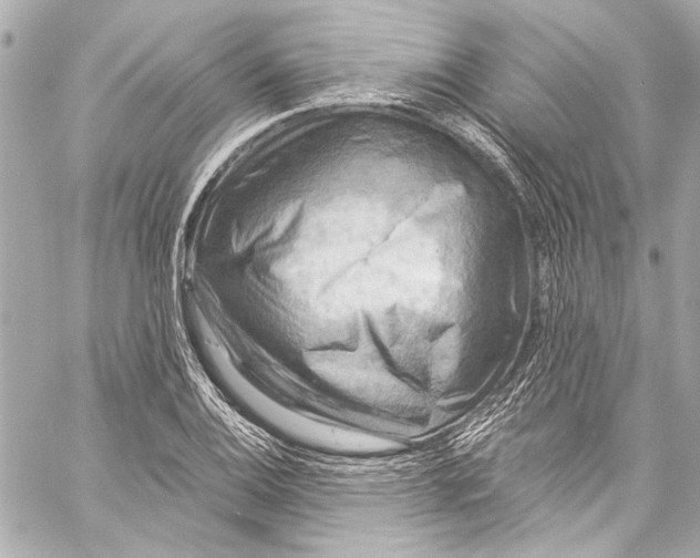 X0000057071124200510071425