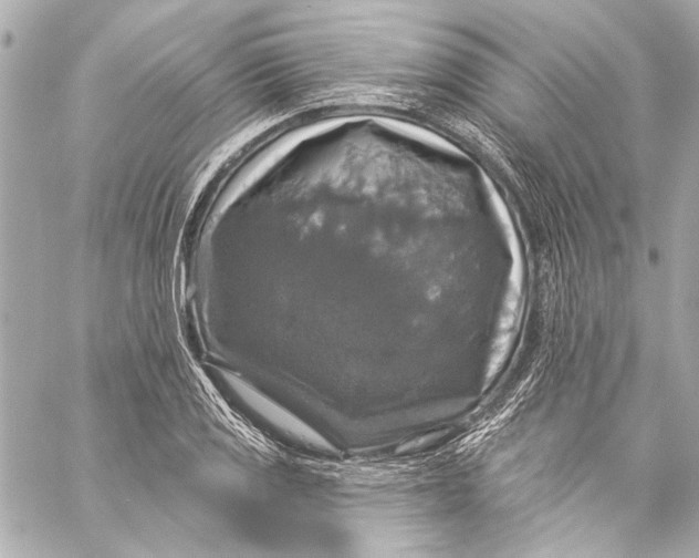 X0000057071125200510071425