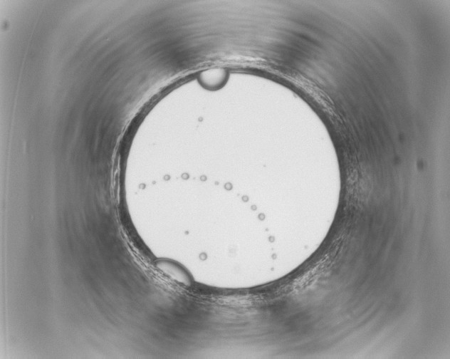 X0000057071126200510071425