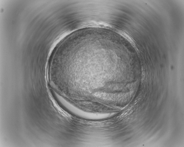 X0000057071128200510071425