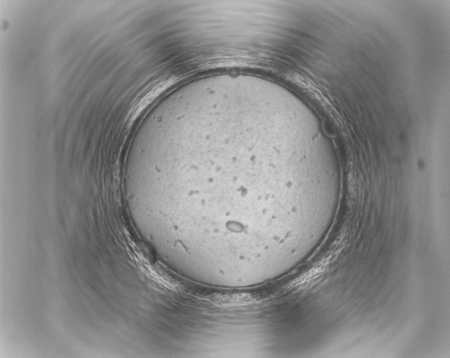 X0000057071129200510071425