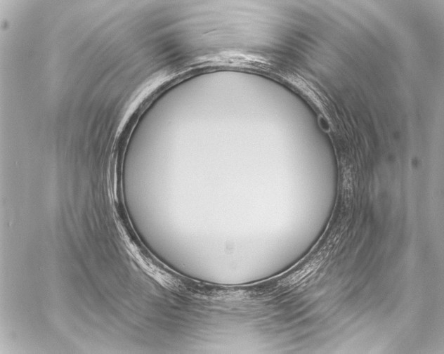 X0000057071131200510071425