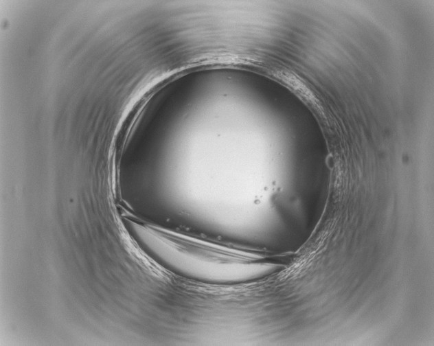 X0000057071132200510071425