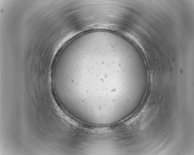 X0000057071133200510071425