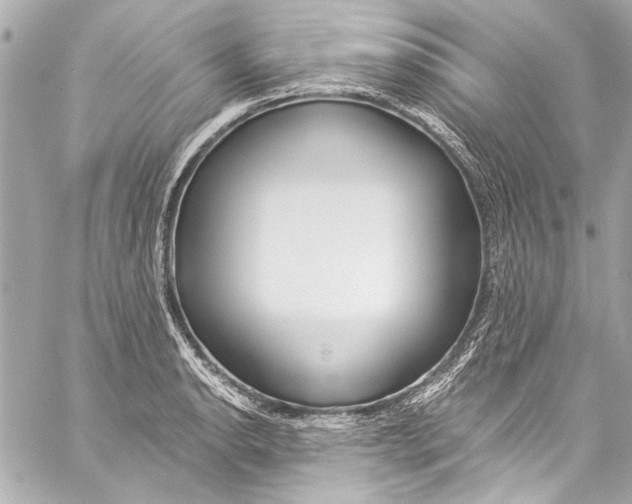 X0000057071134200510071426