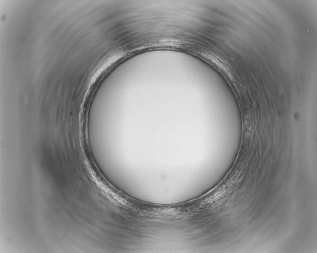 X0000057071135200510071426