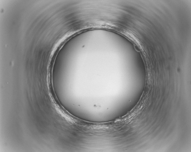 X0000057071136200510071426