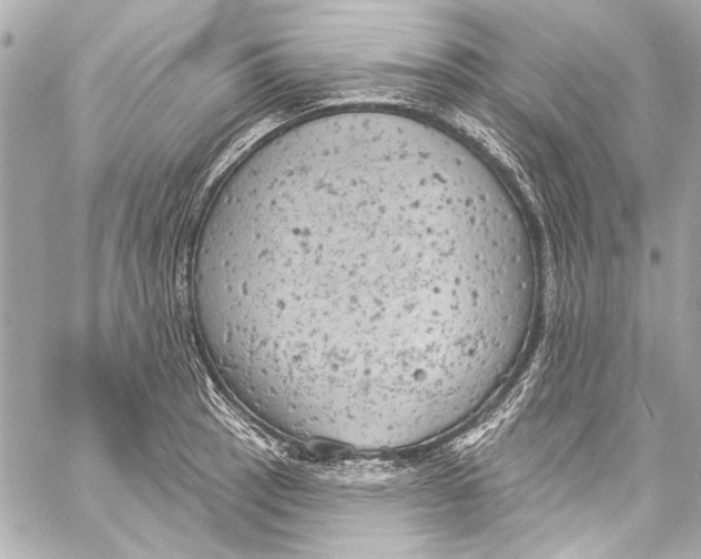 X0000057071137200510071426