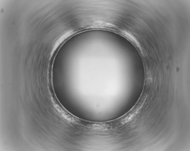 X0000057071138200510071426