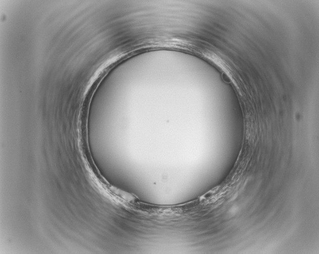 X0000057071139200510071426