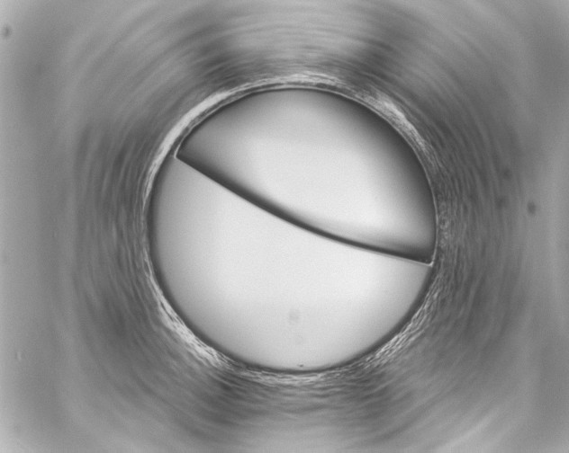 X0000057071140200510071426