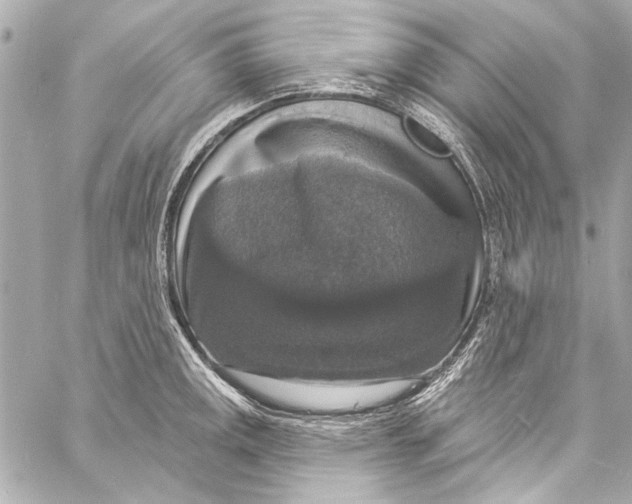 X0000057071141200510071426