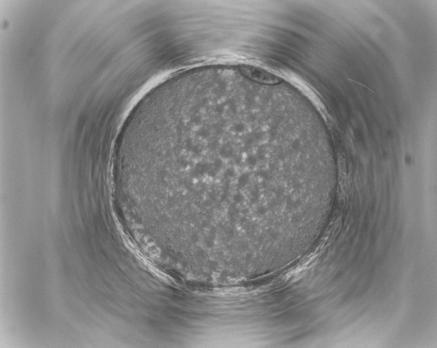 X0000057071142200510071426