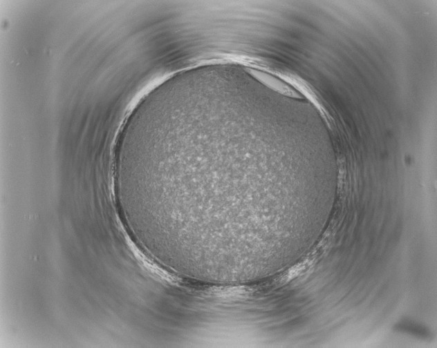 X0000057071143200510071426