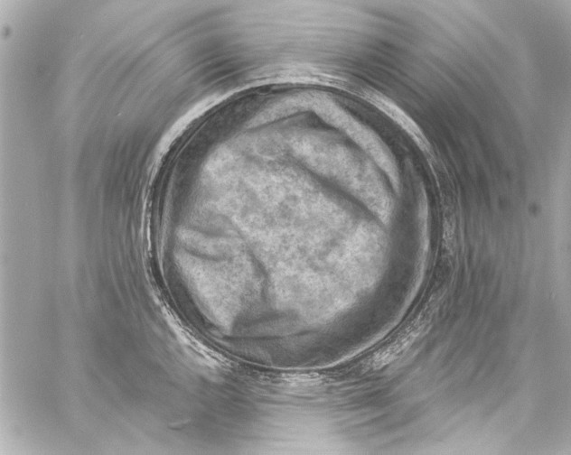 X0000057071144200510071426