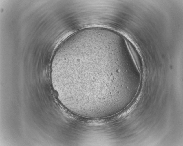 X0000057071145200510071426