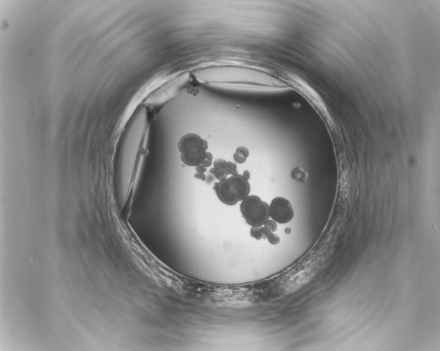 X0000057071146200510071426