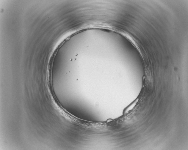 X0000057071147200510071426