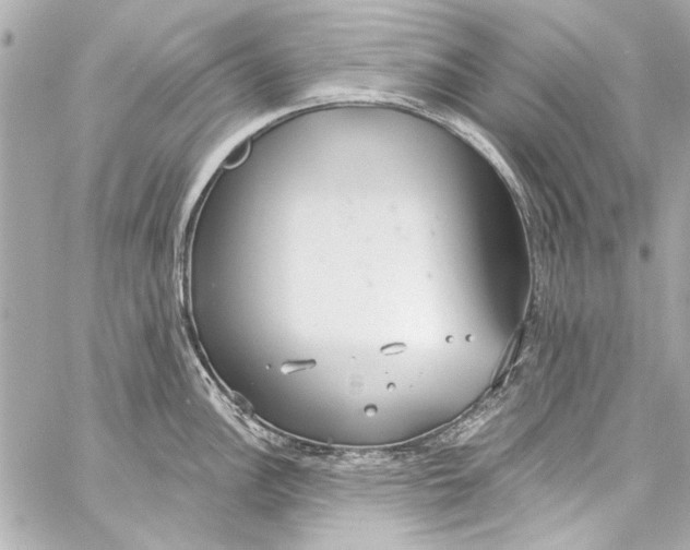 X0000057071148200510071426