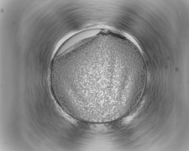 X0000057071149200510071426