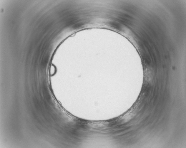 X0000057071150200510071426