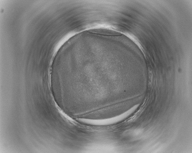 X0000057071151200510071426