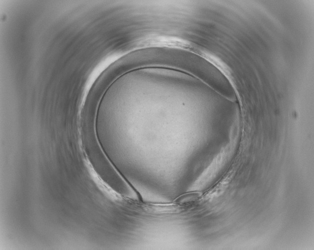 X0000057071152200510071426