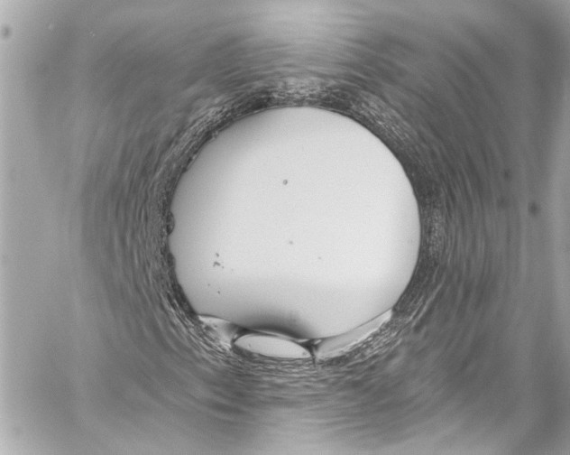 X0000057071153200510071425