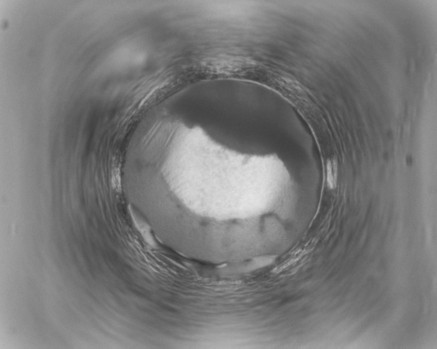 X0000057071155200510071425