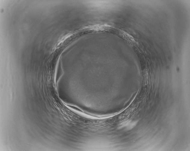 X0000057071158200510071425