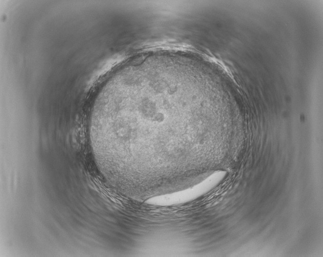 X0000057071159200510071425