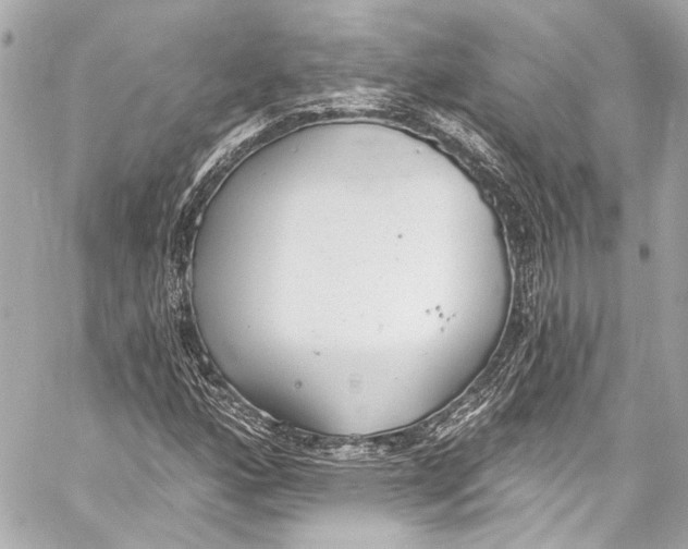 X0000057071160200510071425