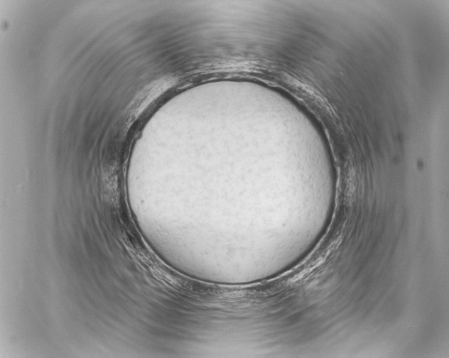 X0000057071162200510071425