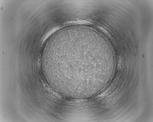 X0000057071163200510071425