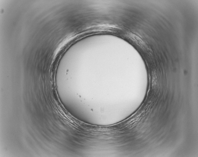 X0000057071164200510071425