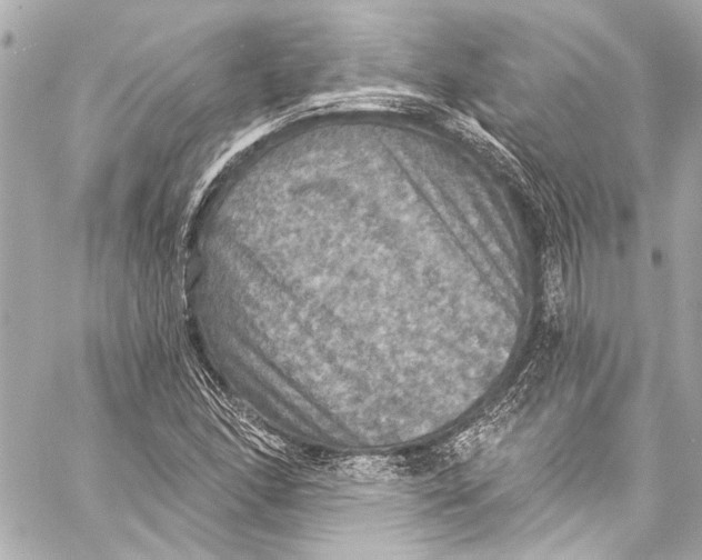 X0000057071166200510071425