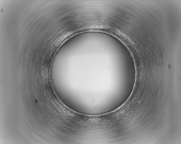 X0000057071169200510071425