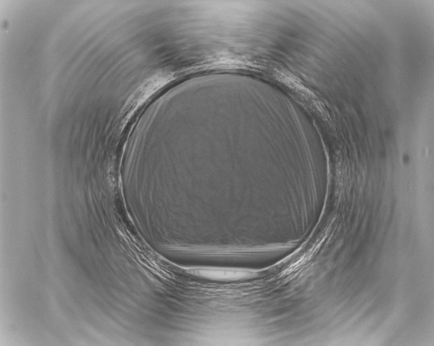 X0000057071170200510071425