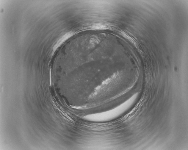 X0000057071171200510071425