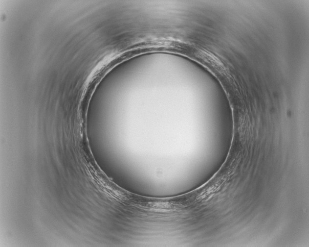 X0000057071172200510071425