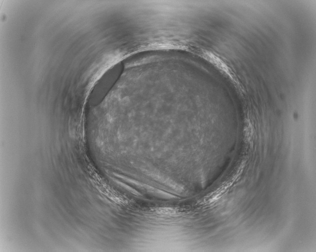 X0000057071173200510071425