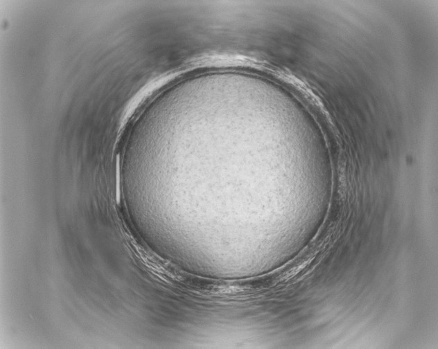 X0000057071175200510071425