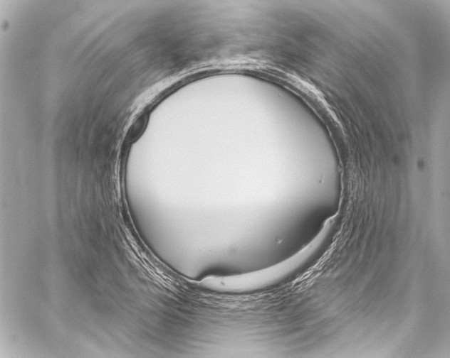 X0000057071176200510071425