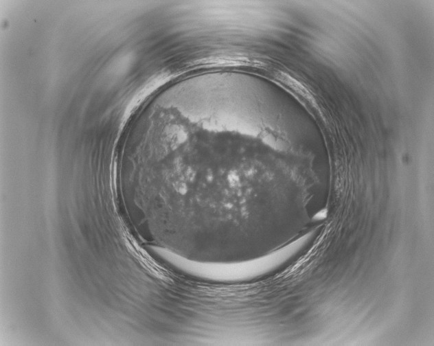 X0000057071179200510071425