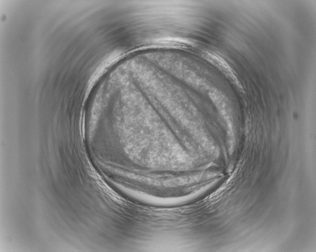 X0000057071180200510071425