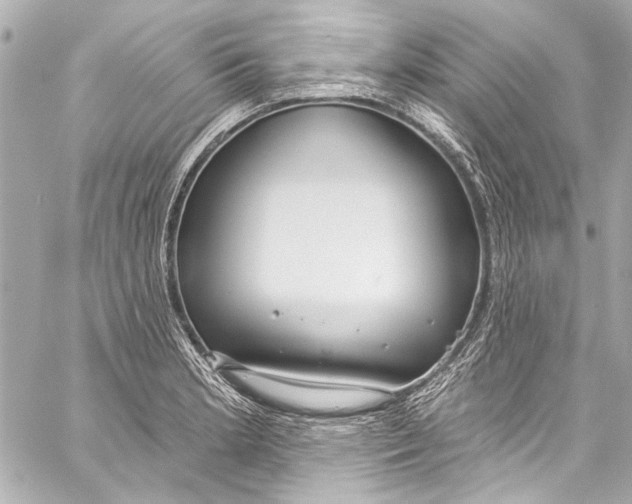 X0000057071181200510071425