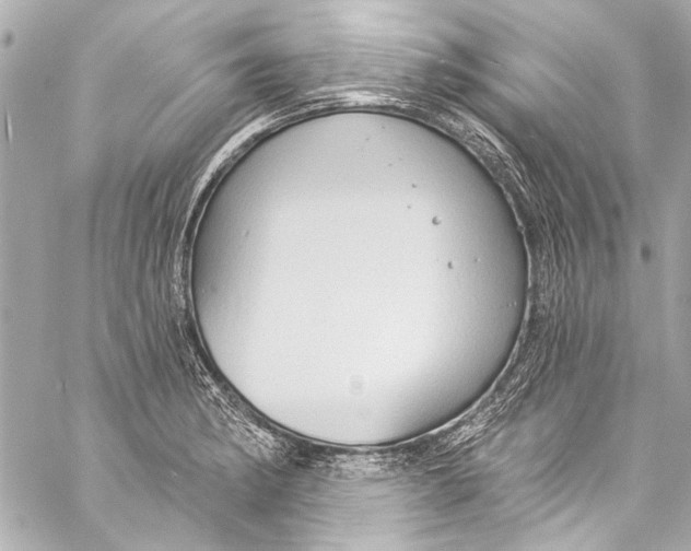 X0000057071182200510071425